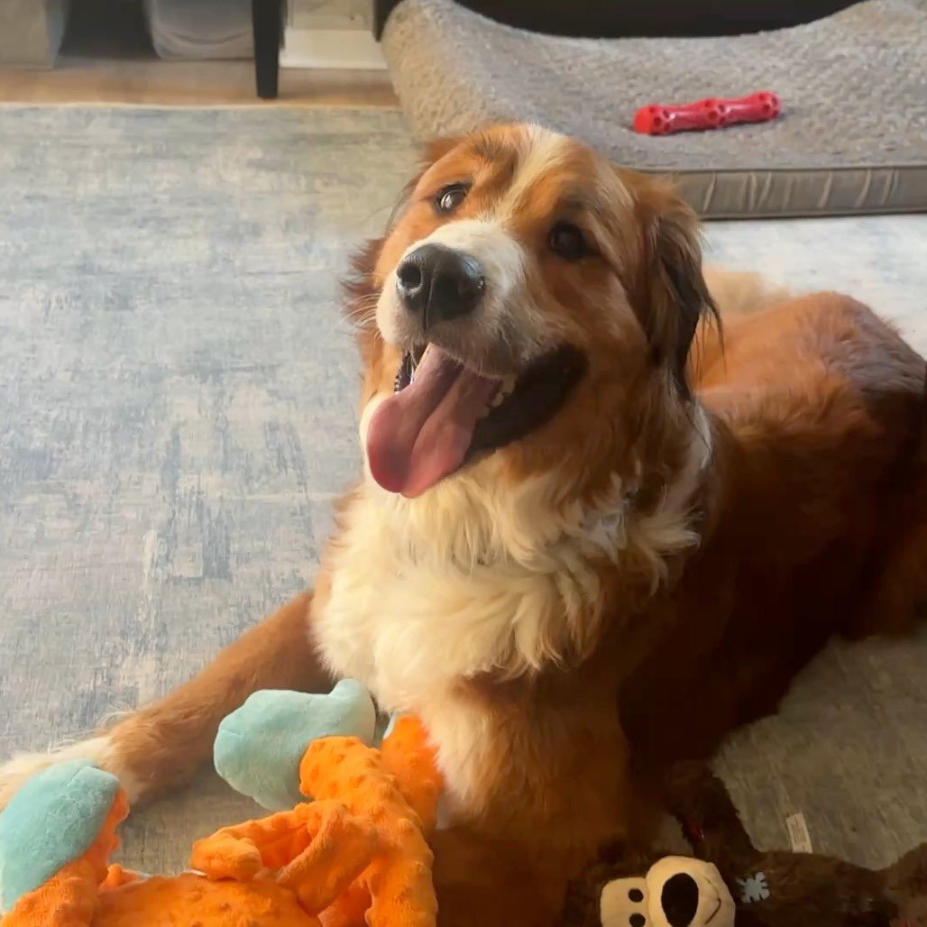 RevaliTheBerner tweet media