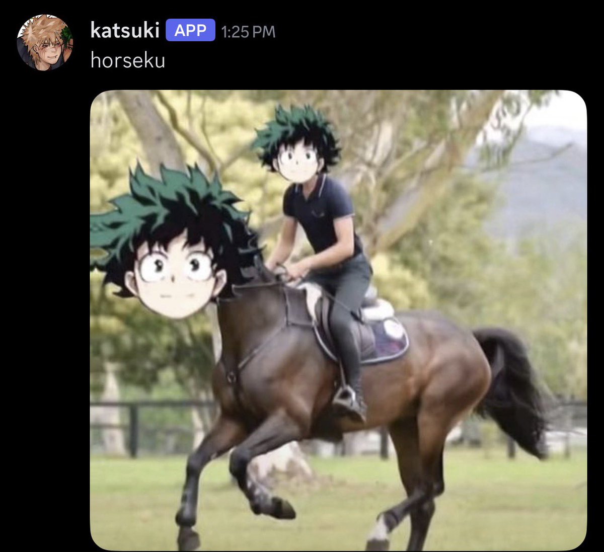 Midoriya Izuku! tweet media