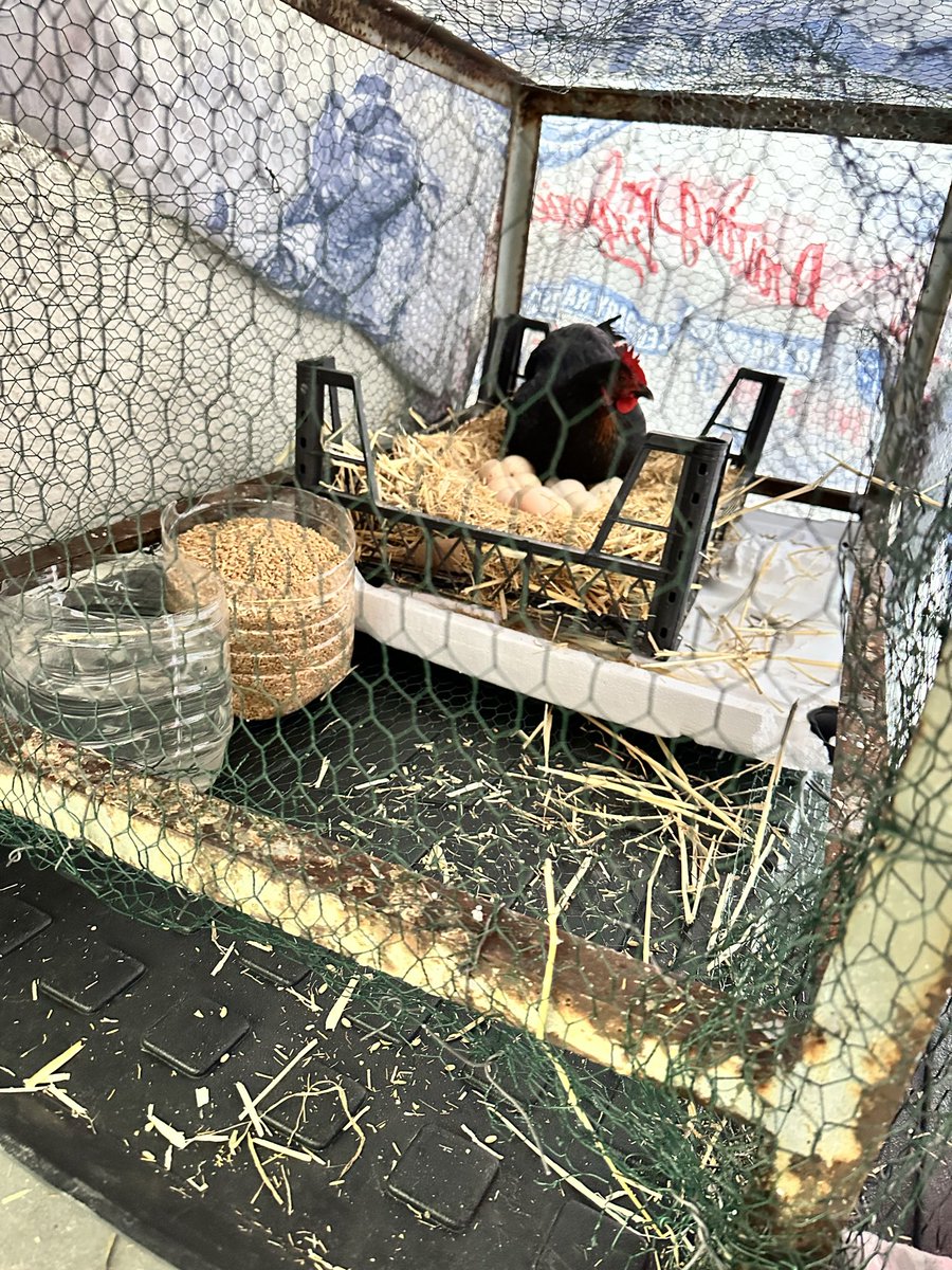 Eyüp A... tweet media