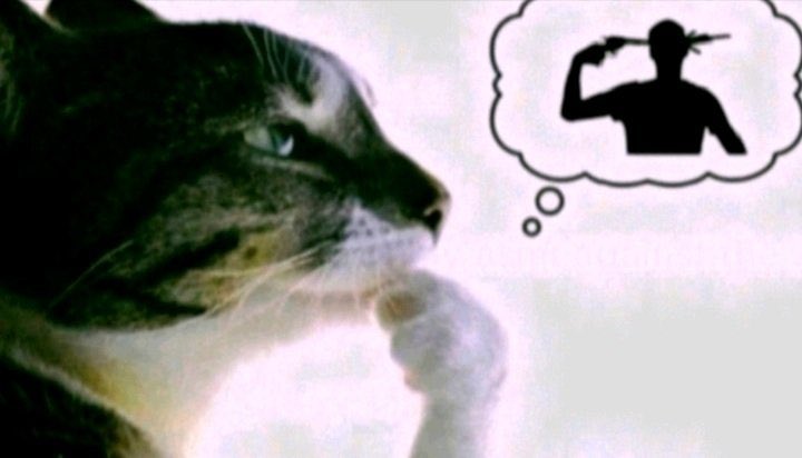 LuciFerii tweet media