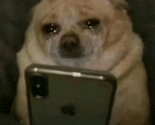 Alec Ross 🇵🇭 tweet media