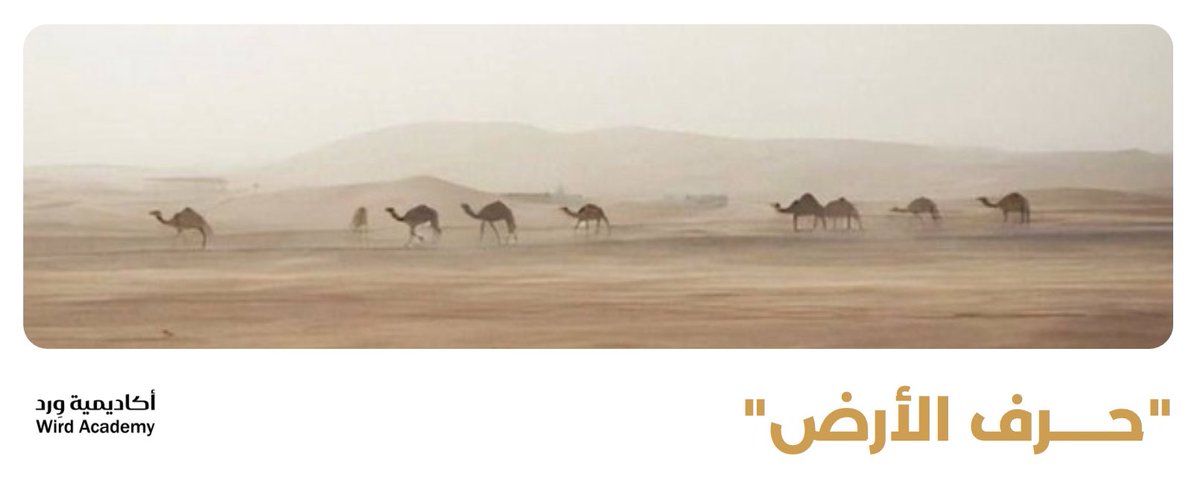 أكاديمية وِرد | Wird Academy tweet media