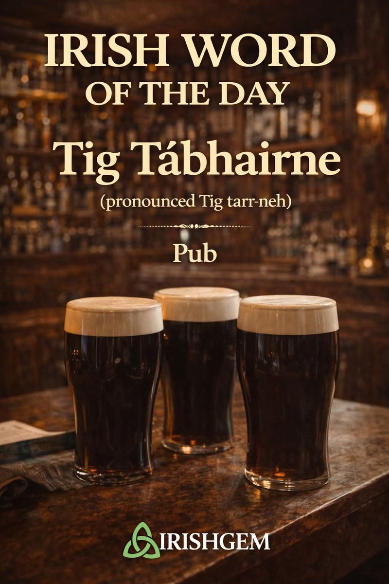 ThisIsIreland3's tweet image. 🇮🇪 Irish Word of the Day 🇮🇪

Come learn some Irish with me!
A few words every day is the easiest way to start understanding the Irish language, even if you’ve never spoken a word before ☘️

Save this post so you can come back to it later 🇮🇪

📸 The Irish Gem

#Irish #Ireland