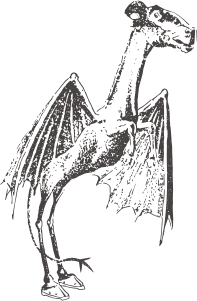 𝕋𝕙𝕖 𝔽𝕖𝕕𝕖𝕣𝕒𝕝𝕚𝕤𝕥 1776 tweet media