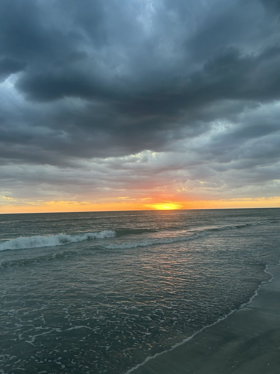 Connor Speed tweet media