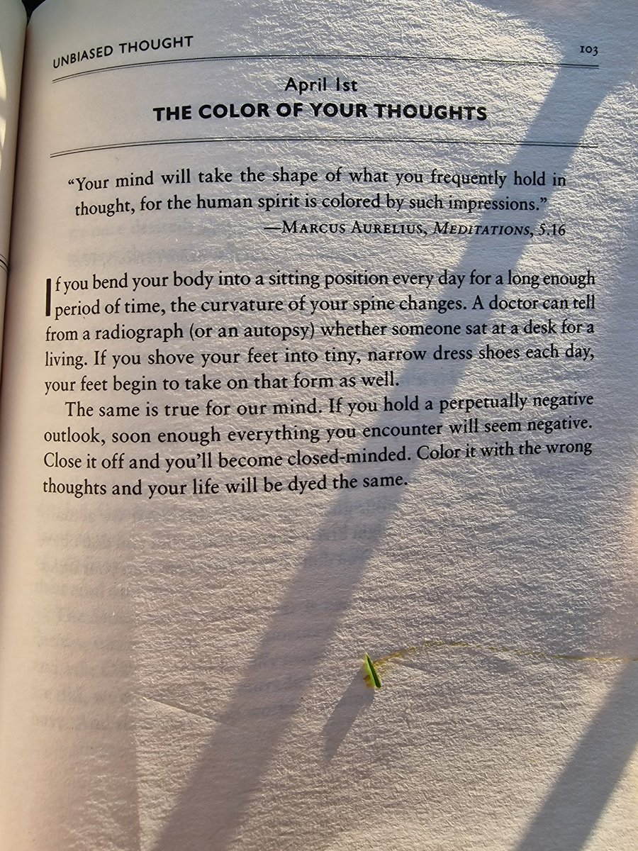 Ami Oz 👑 ✨️ 🌎 tweet media