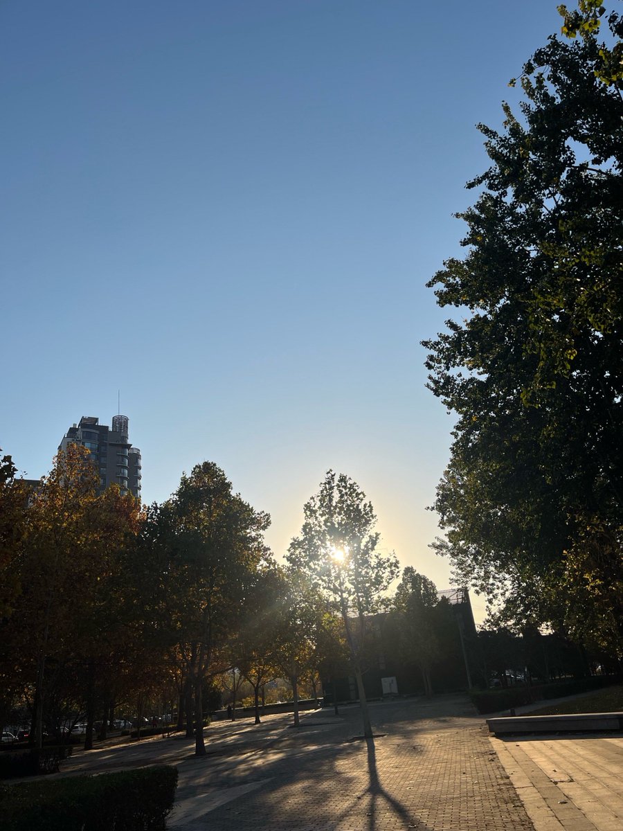CFTHEISS's tweet photo. Swapped 30 mins of scrolling for a morning walk—sunshine, birdsong, and zero FOMO. Game changer for my mood! ♀ https://t.co/wxcOAoBPjZ