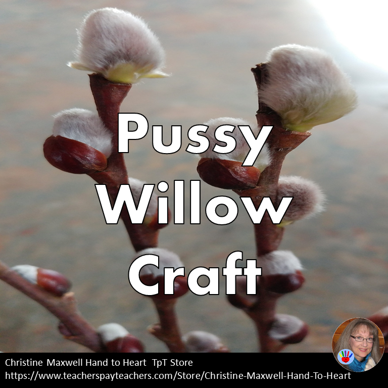 One of the first signs of spring is a furry bush called a pussy willow. Children love being able to touch these soft kitty cat feeling flower buds called catkins. 

There are several fun ways to create the pussy willow as a craft.

handtoheartcards.blogspot.com/?fbclid=IwY2xj…