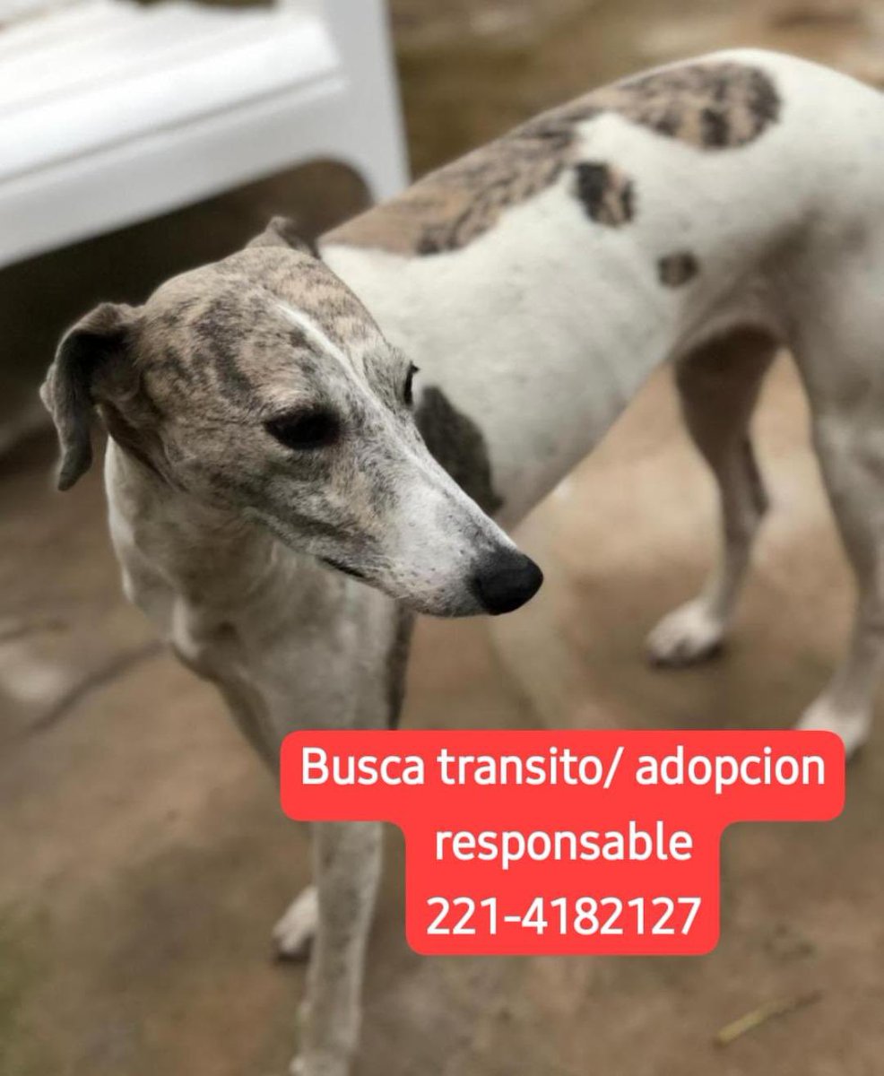 Come to my cottage 🏡 tweet media