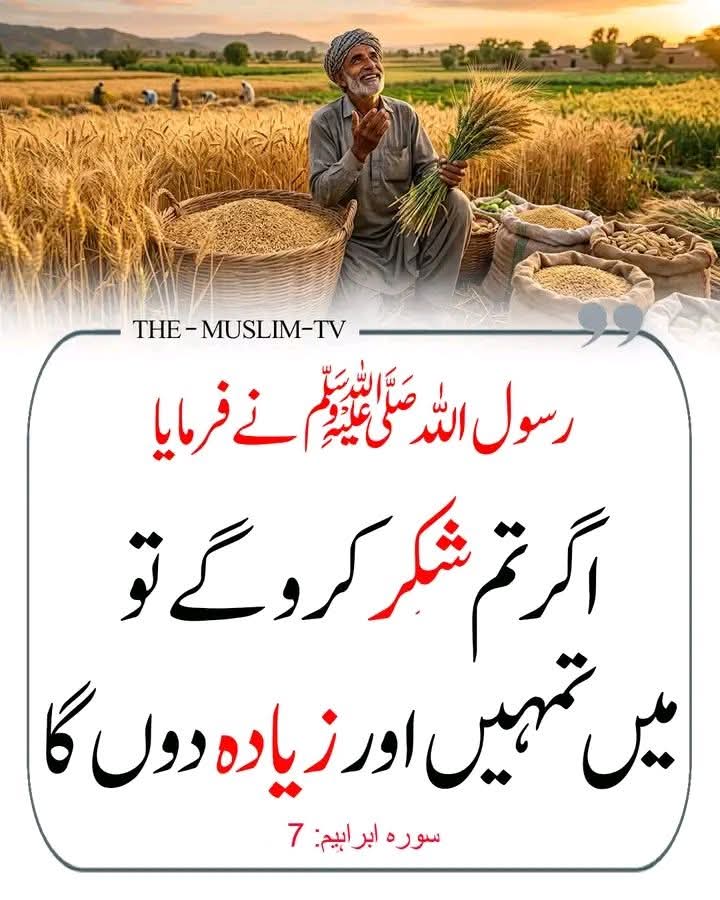 mahwishzafar7's tweet photo. تمہارا رزق تمہیں اسی طرح ڈھونڈے گا
 جس طرح تمہارا سایہ تمہیں ڈھونڈتا ہے 🌼🍃 https://t.co/ntO8JEXWGl