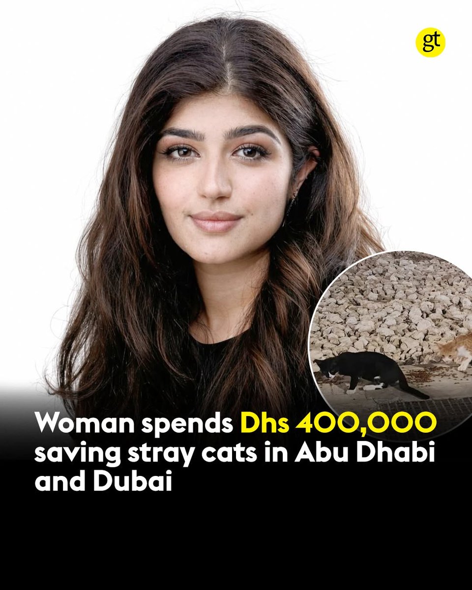 We don't deserve cats 😺 tweet media