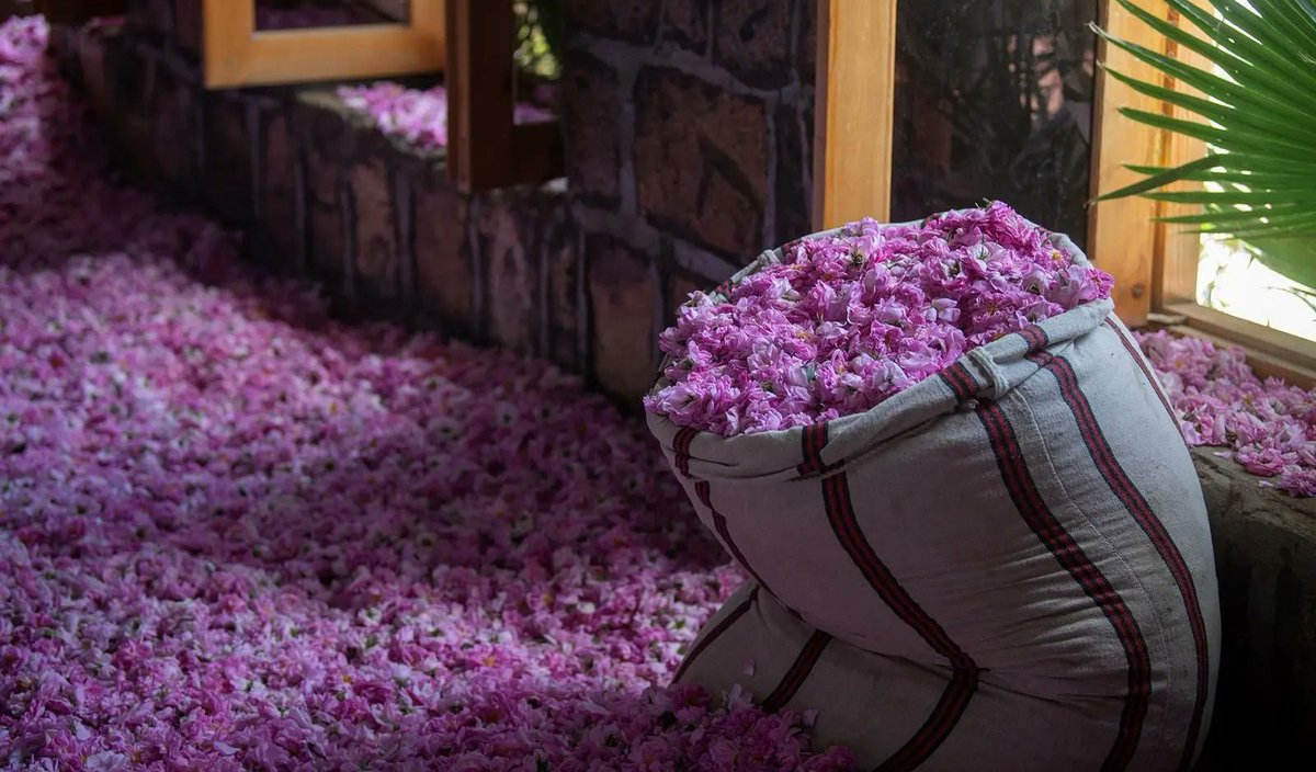 فَهَيْدٌ الشَّرِيف🇸🇦 tweet media