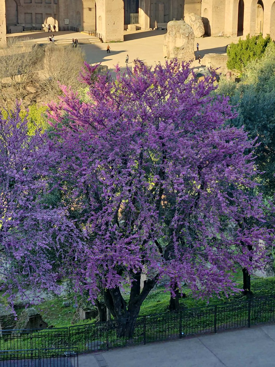 Евгений Понасенков tweet media