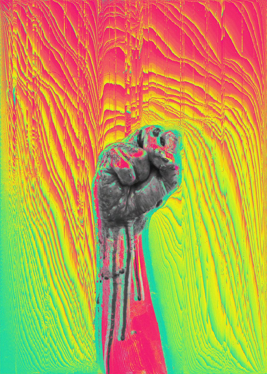 jrdsctt 💀 tweet media