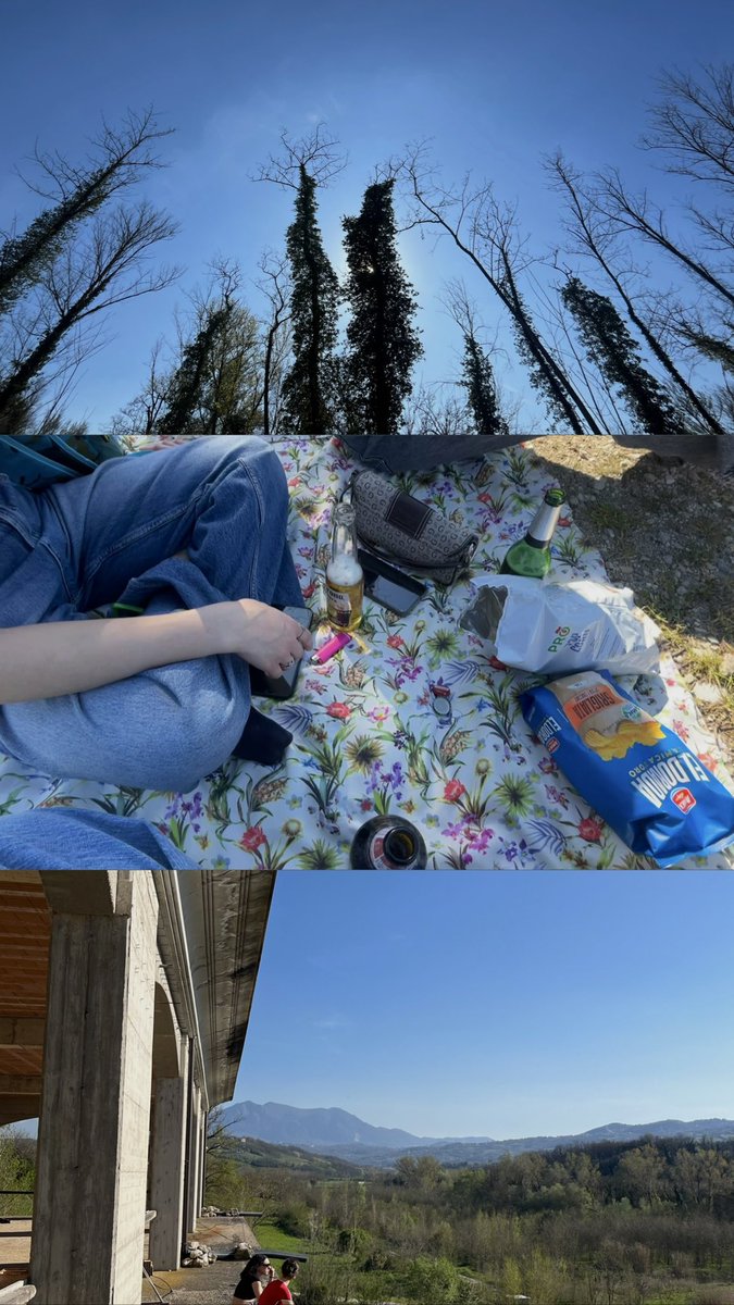 sassi🌟 tweet media