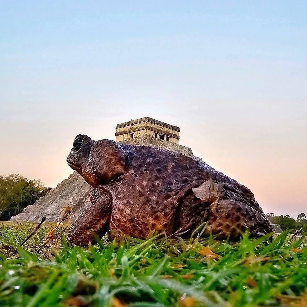 Vigia Ciudadano tweet media