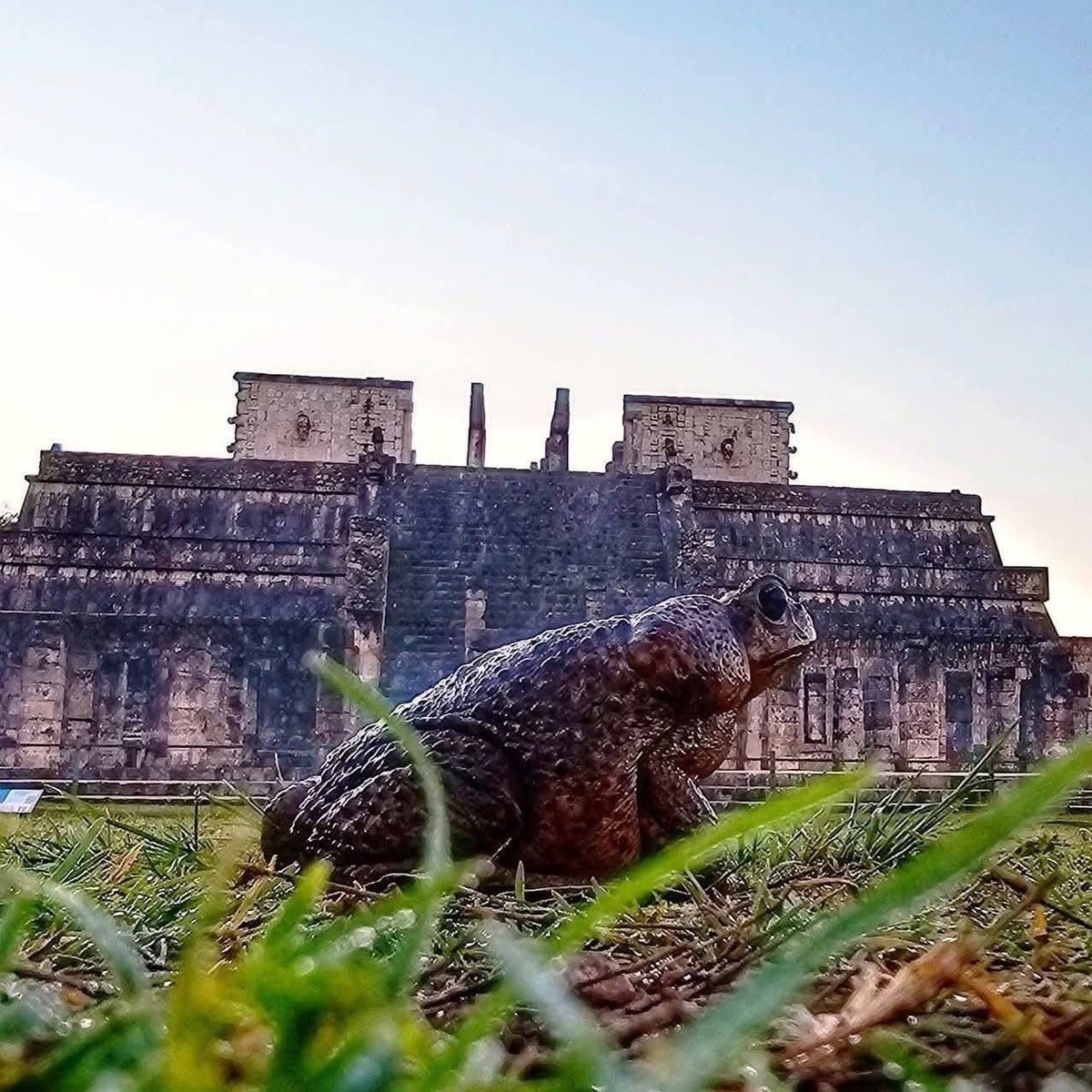 Vigia Ciudadano tweet media