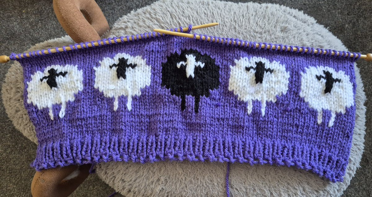 The Yorkshire Grey Sheep tweet media