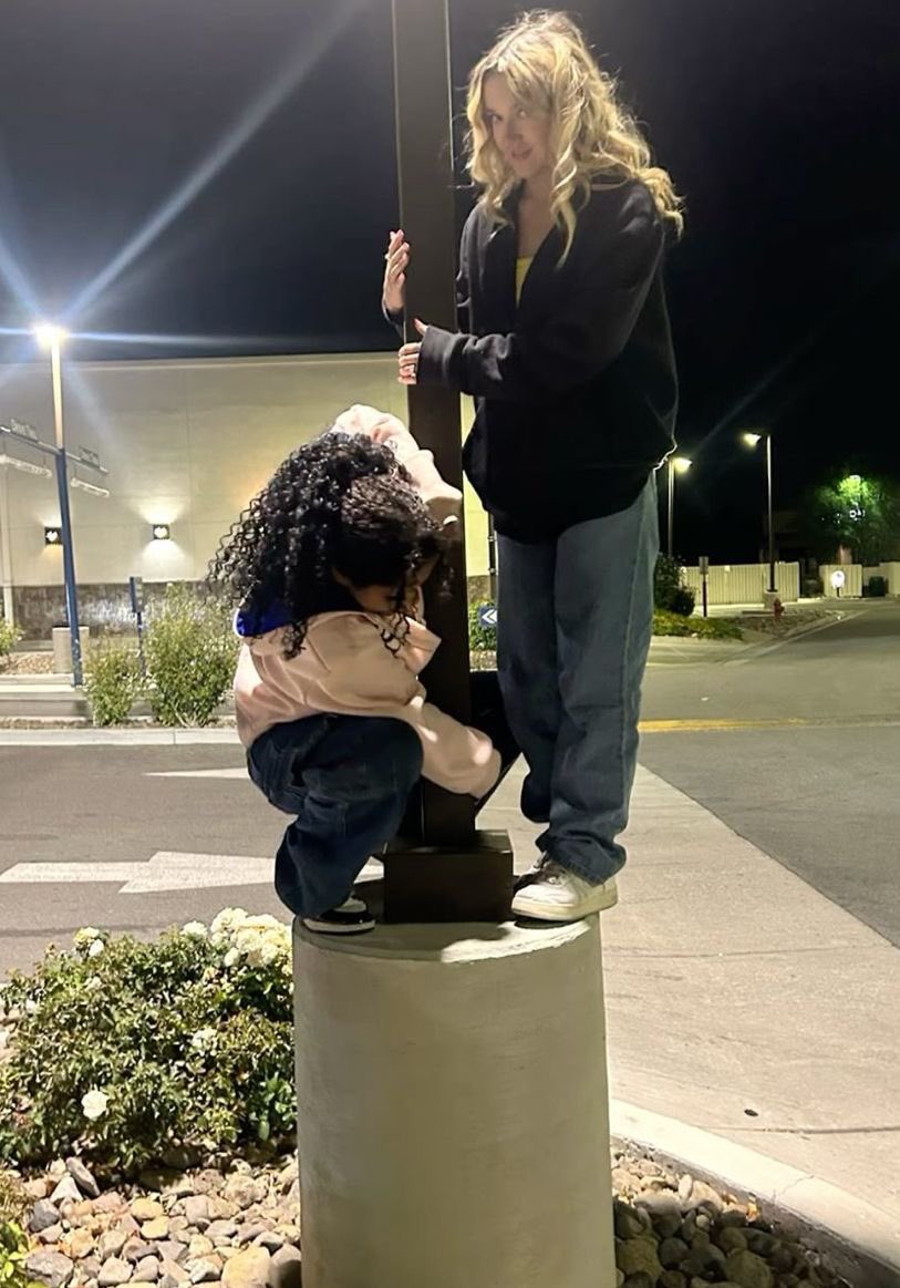 cat 🏹 tweet media