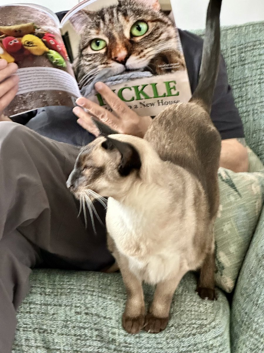 Fat Sandra & her mum 🏴󠁧󠁢󠁳󠁣󠁴󠁿 tweet media