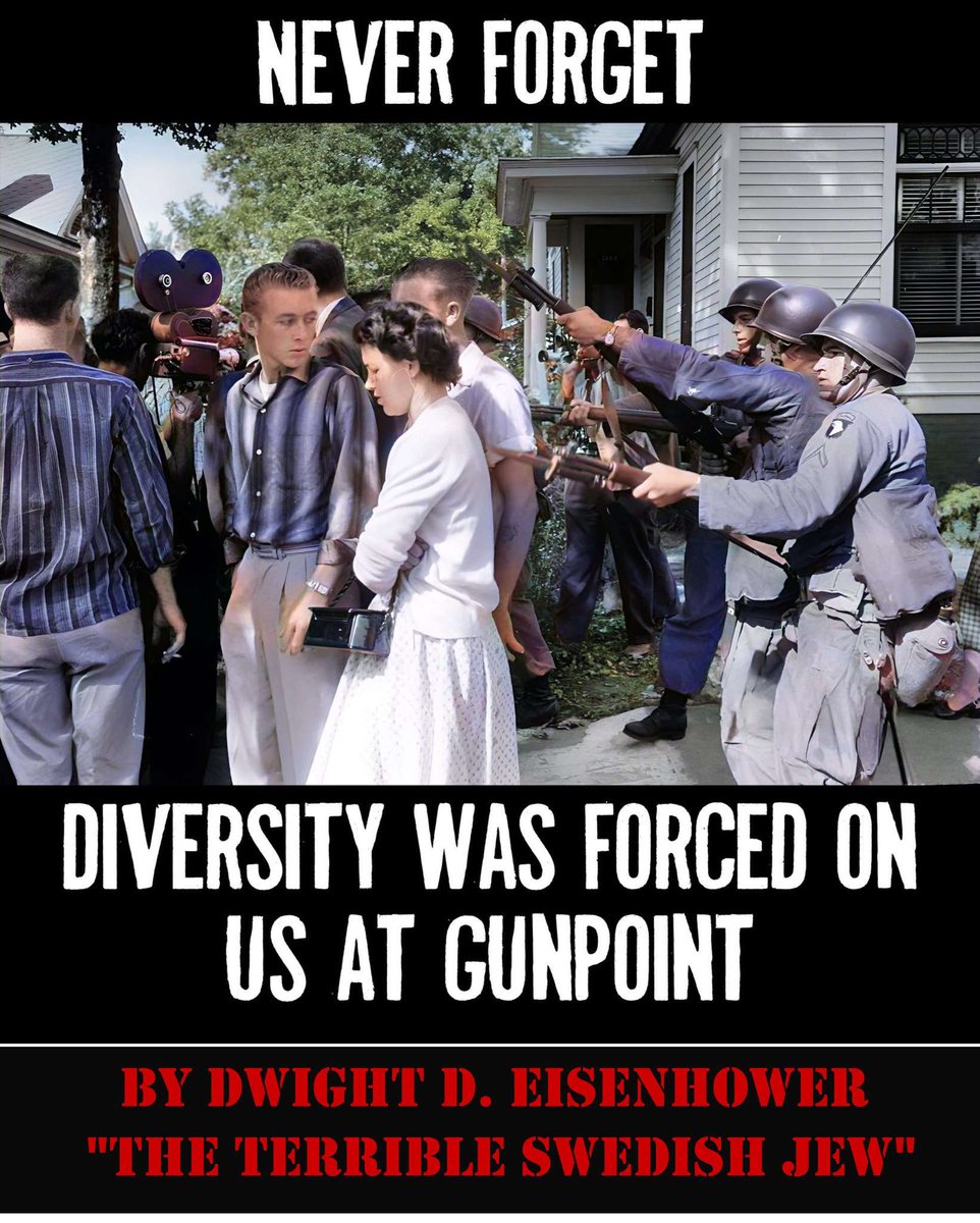 SECRET AGENT ELF tweet media