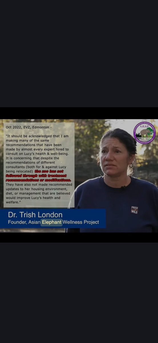 She lives in isolation on a cement slab. Look at her infected feet! A sanctuary’s waiting for her w/qualified Experts to move her.They’ve moved older &amp; sicker elephants.What’s the holdup now? <a href="/KatiePasitney/">Katie Pasitney (Universal Ostrich Farms)</a> <a href="/IngoSchmidinger/">Ingo Schmidinger</a> <a href="/lek_chailert/">Lek Chailert</a> <a href="/Erinforanirniq/">Erin Rutherford</a> <a href="/BezirganMocha/">Mocha Bezirgan 🇨🇦</a> #FreeLucy