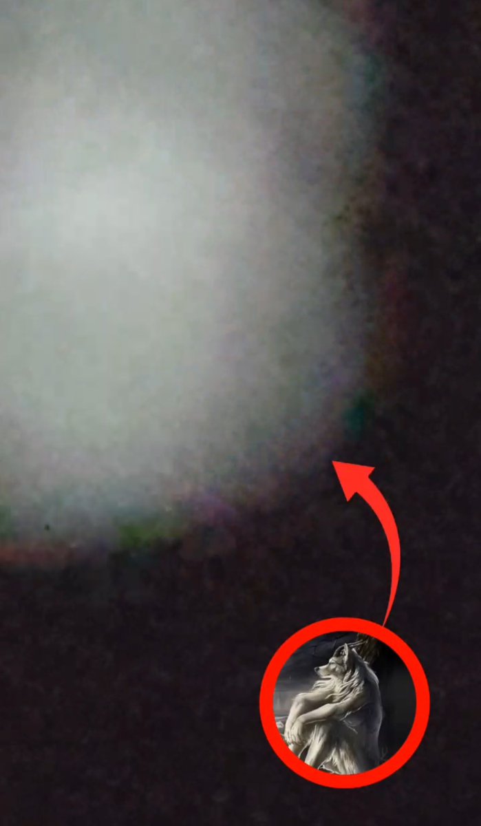 anton and his snapchat filters 🙂‍↔️