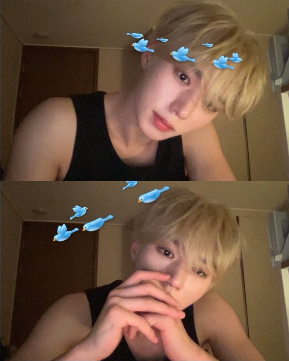 *ੈ𖦹☀️₊༘˚lei ݁˖⭑♡ | (˶˃𐃷˂˶) (semi ia) tweet media