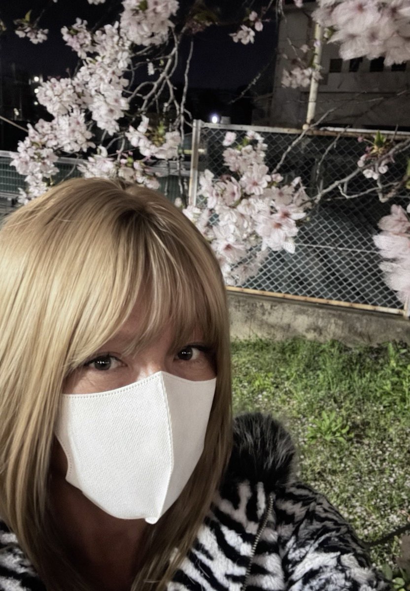 AKANE_jyosou_'s tweet photo. 🌸まだあって綺麗🥰 https://t.co/euy25OTURk