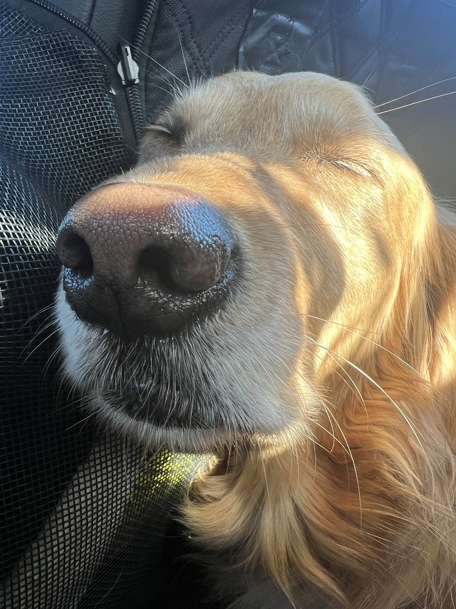 rotunddude's tweet image. i’ve found myself saying “i wish unconditional love was real” these past few months. it’s ironic tho, that deep in my pessimistic thoughts, some higher power always seems to perfectly illuminate the obvious. it exists in her. #foodforthought