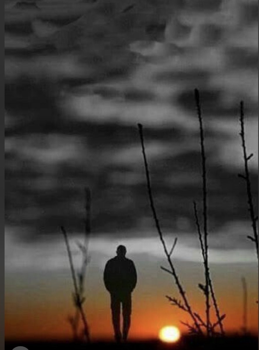 أ.د : هاني الملحم 🇸🇦 tweet media