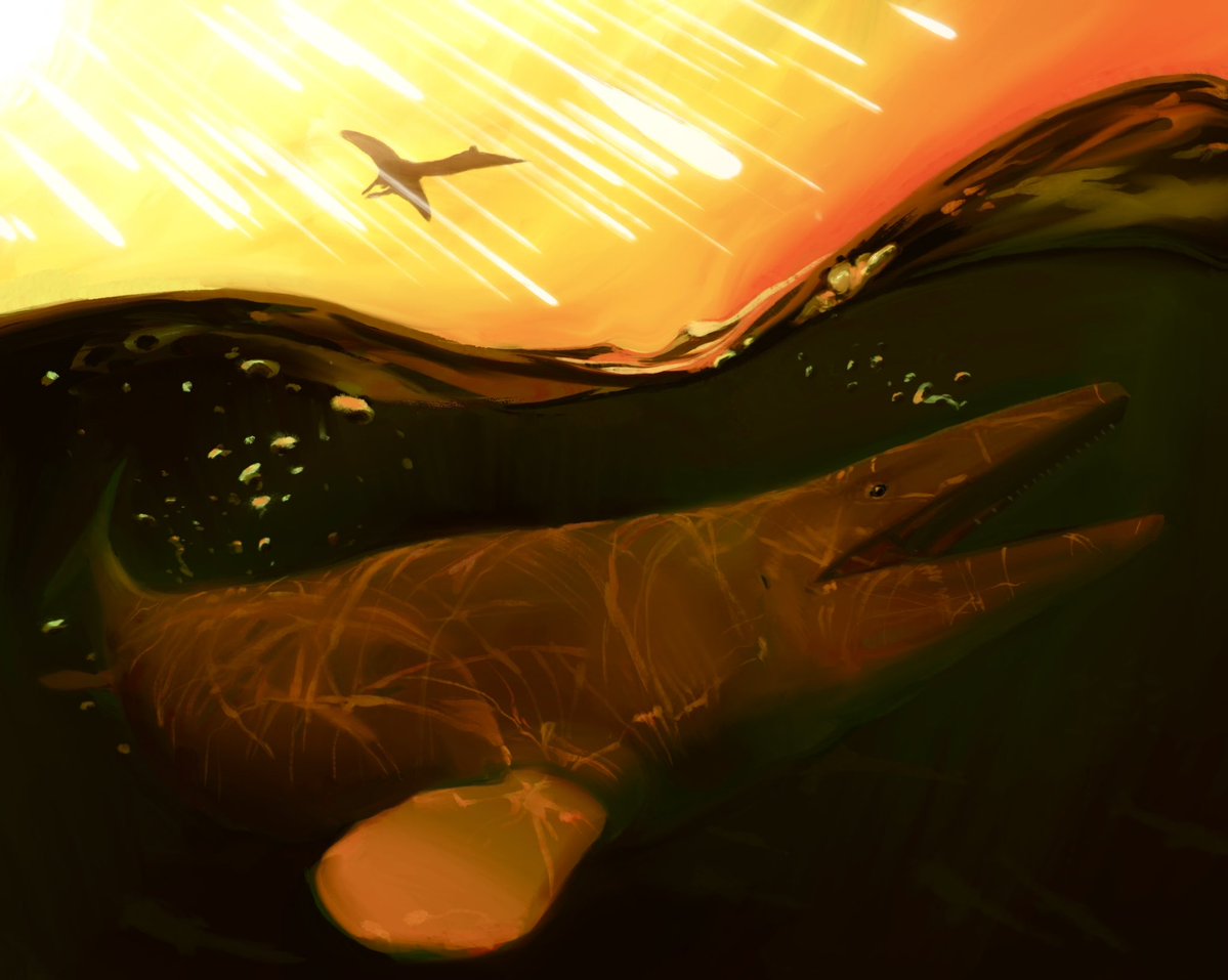 Mauricio tweet media