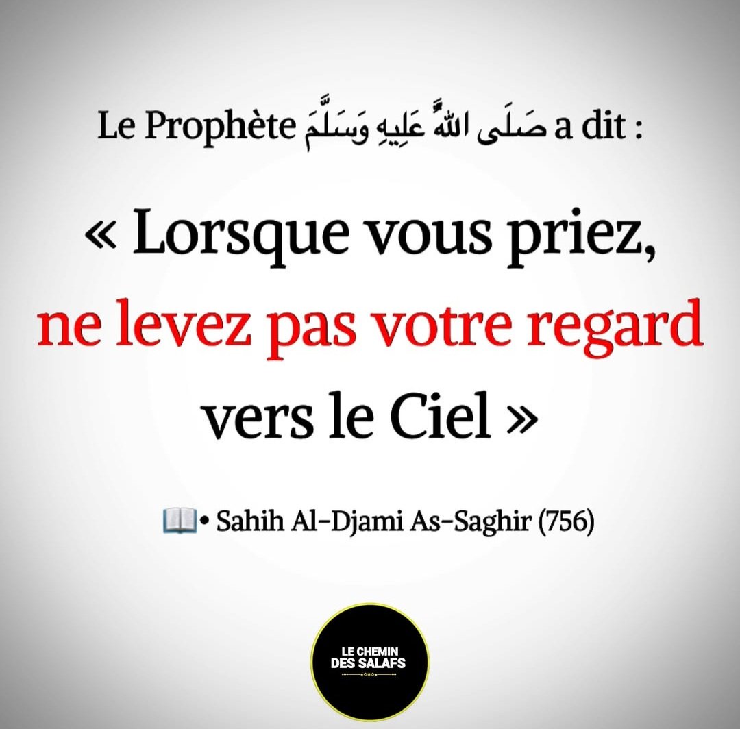 moussa_tawhid tweet media