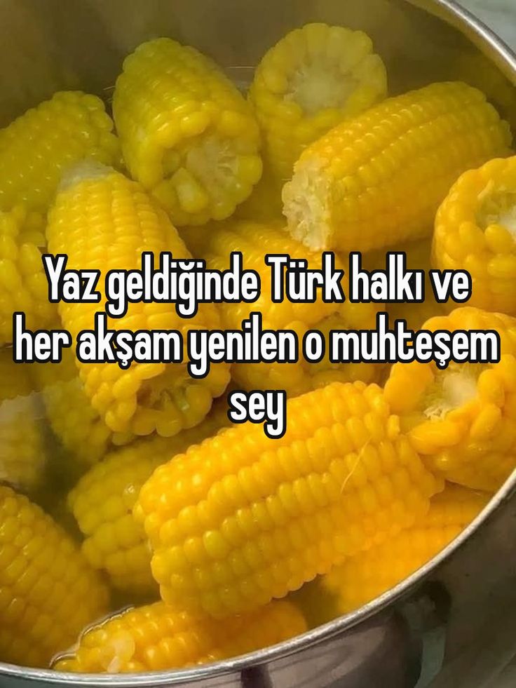 Burak is back tweet media