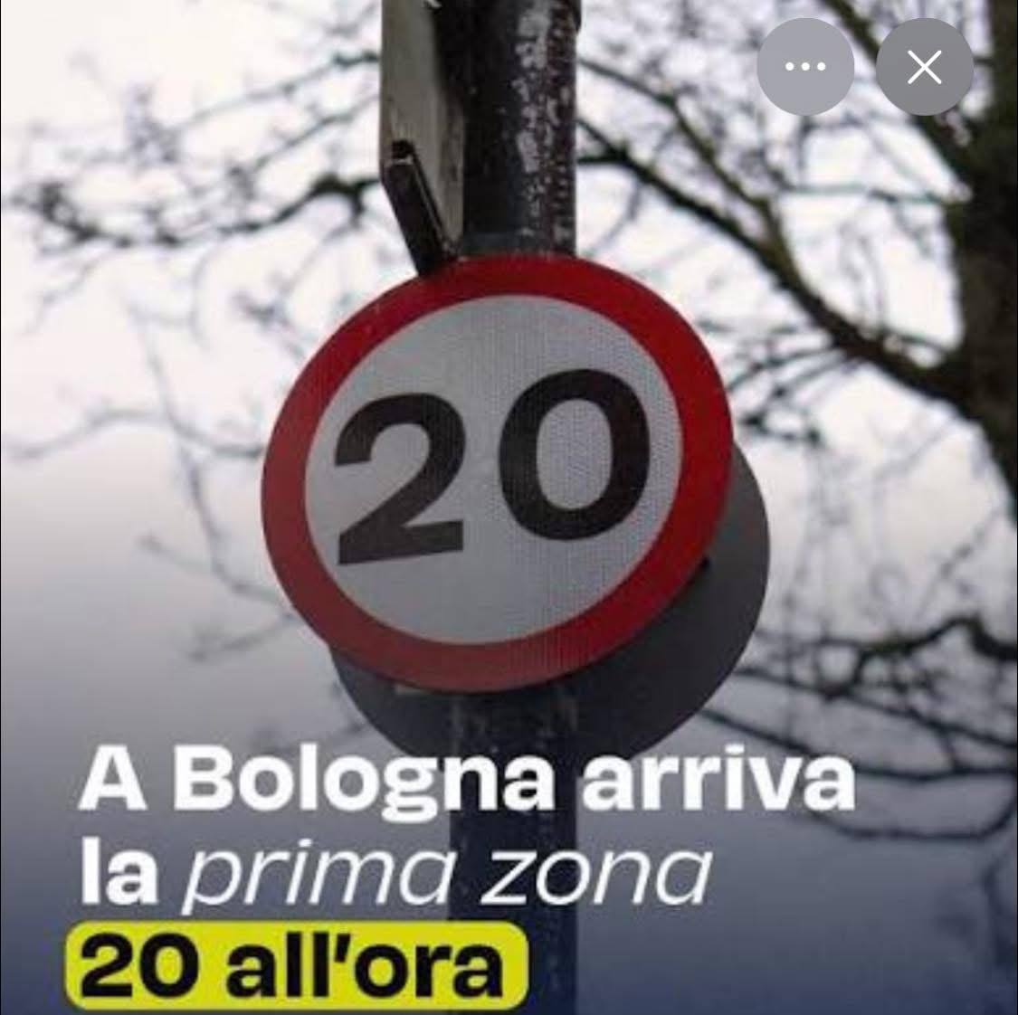 Elisabetta B. tweet media