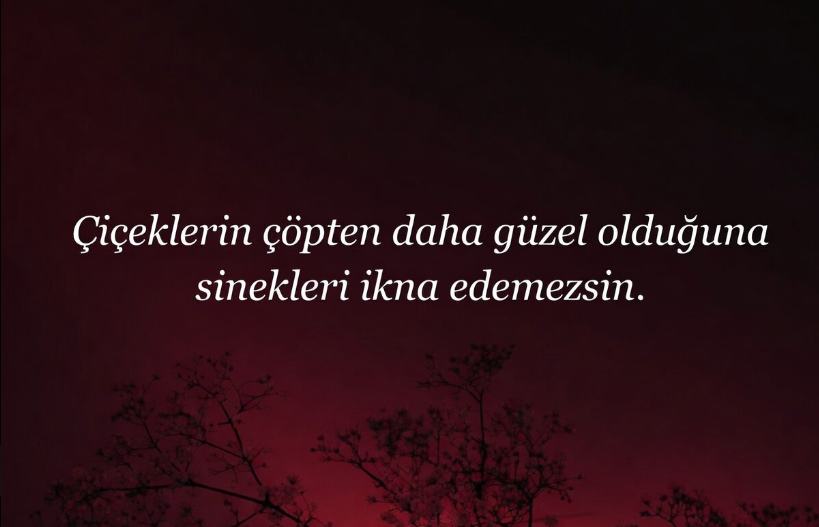 🇹🇷Takas ve Tarama🇹🇷 tweet media