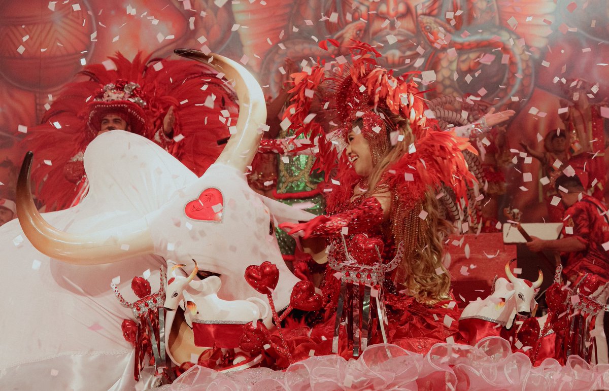 Boi Garantido tweet media