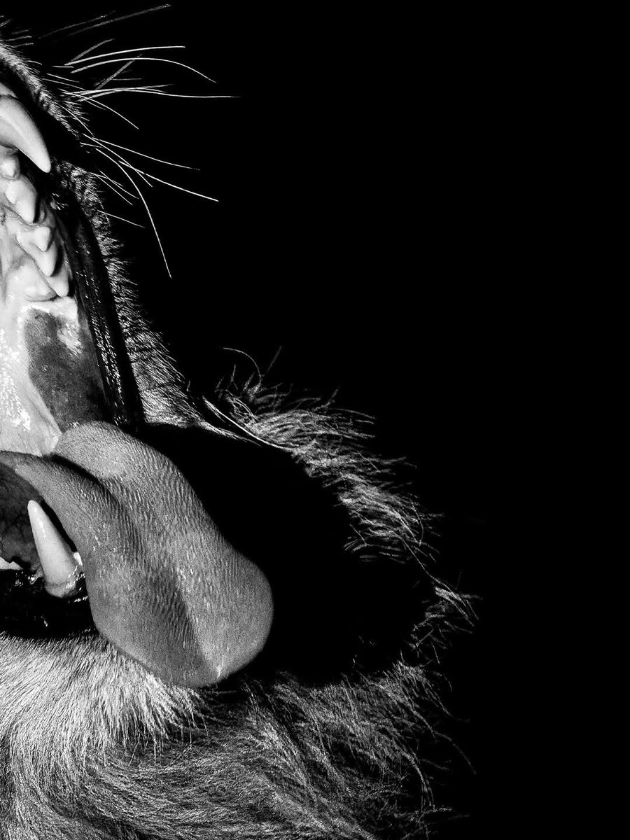 Lorena Hurtado tweet media