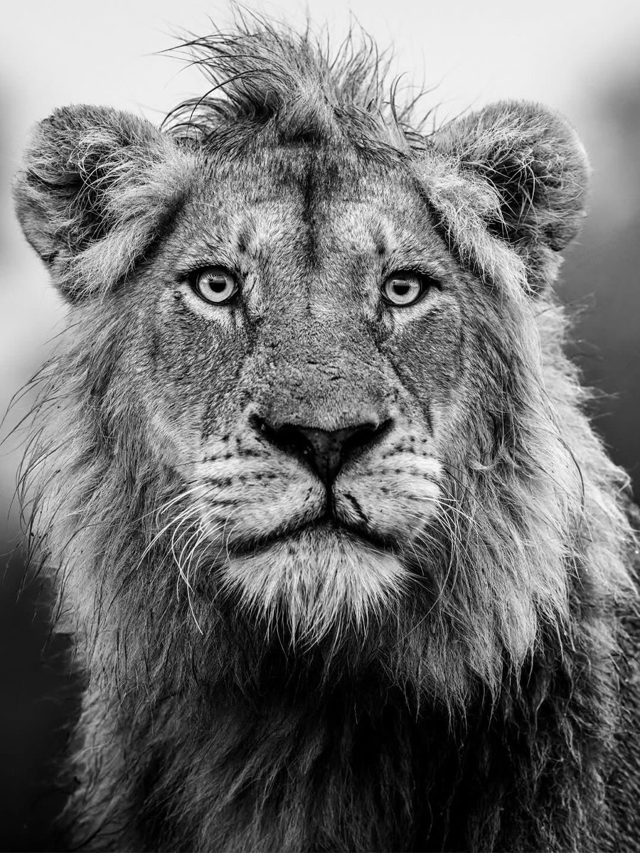 Lorena Hurtado tweet media