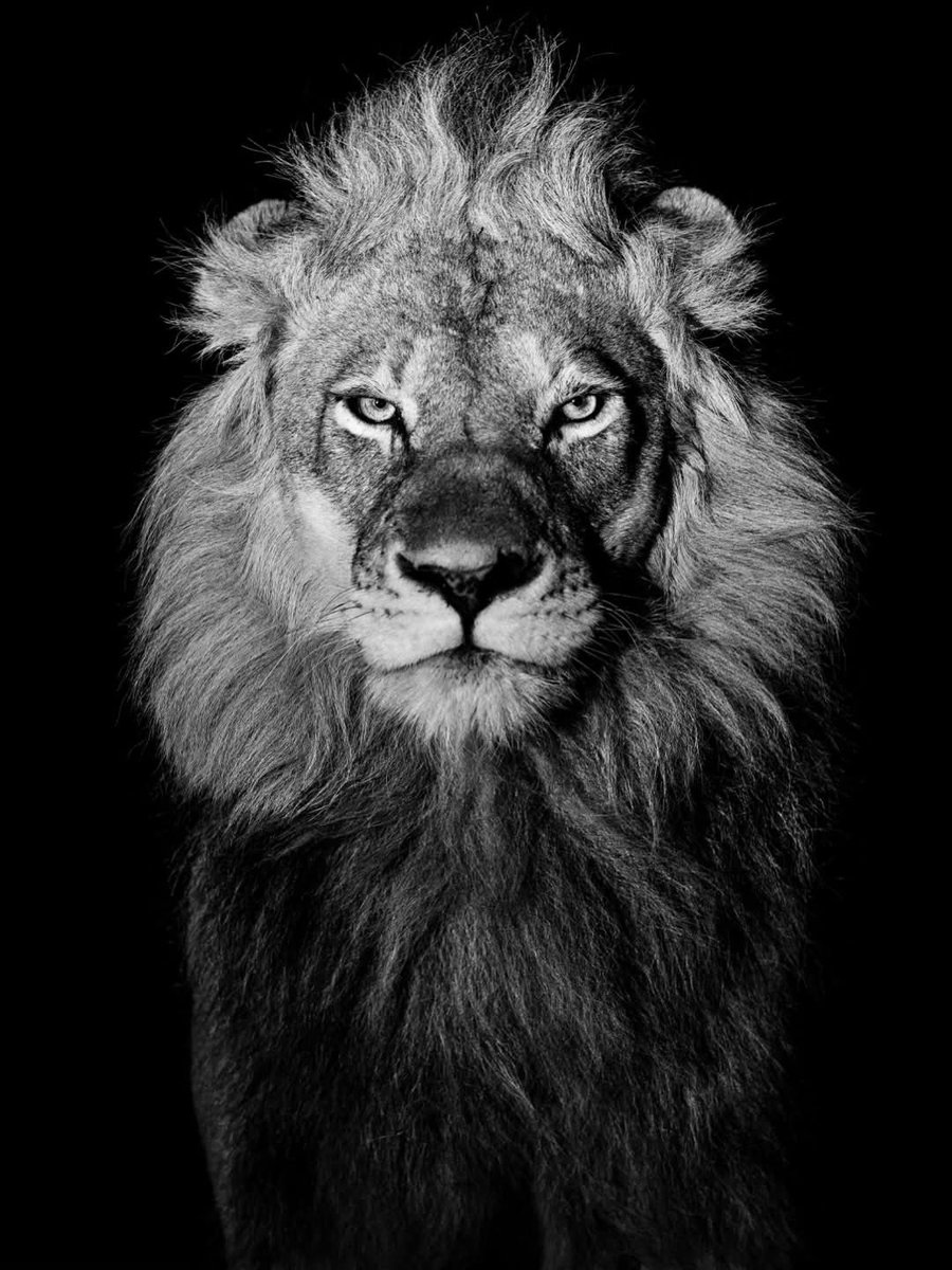 Lorena Hurtado tweet media