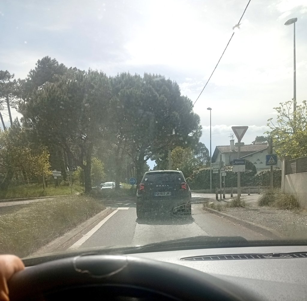 Ꭲ&ᖴ ᝪしᎩᗰᑭᏆᗩᗞ 🦜 ᴡᴏʀʟᴅᴡɪᴅᴇ ᴀᴛʜʟᴇᴛɪᴄs tweet media