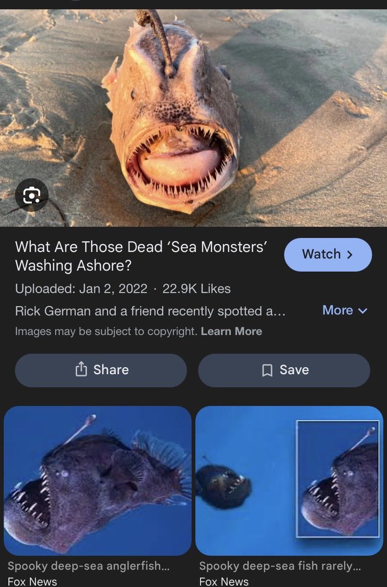 Þorpsbúi🍁🇷🇺🇮🇸🩸 tweet media