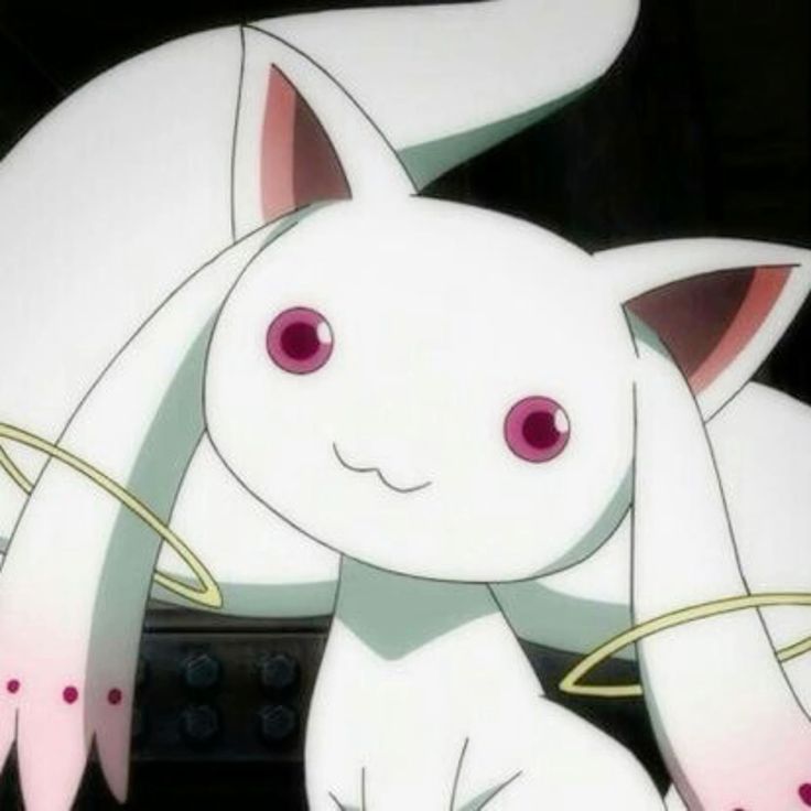 supper/sue tweet media