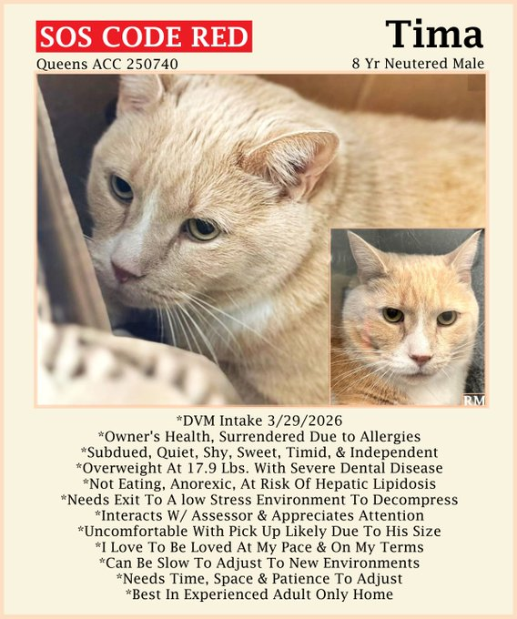 Renee' Martin tweet media