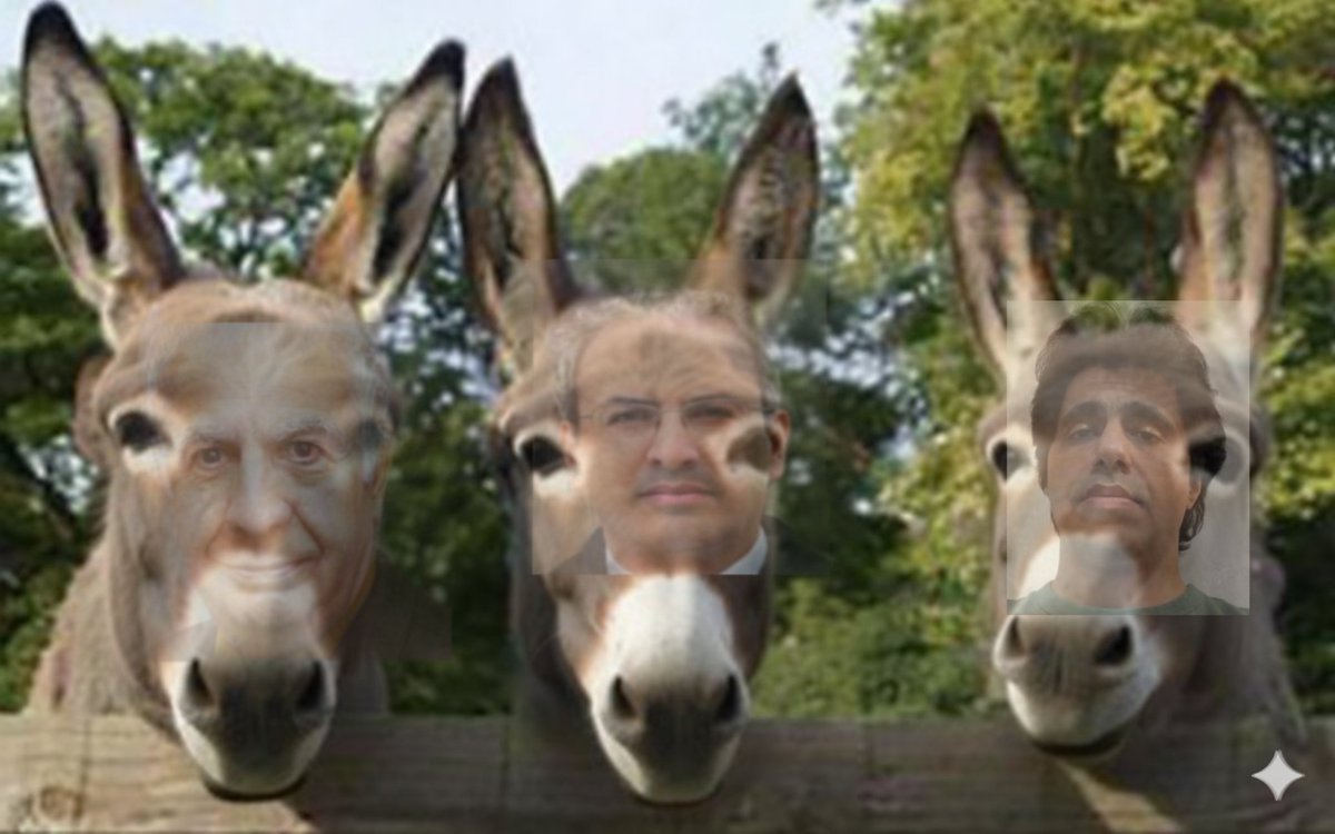 ᎬᏁᎶhᎬᏞᎪb🦁☀️ tweet media