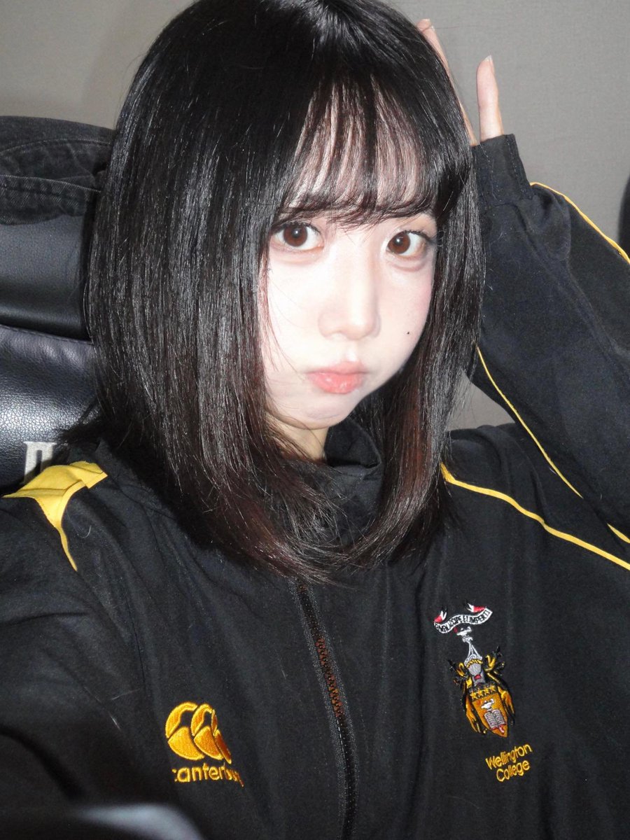 貓貓蟲~ tweet media