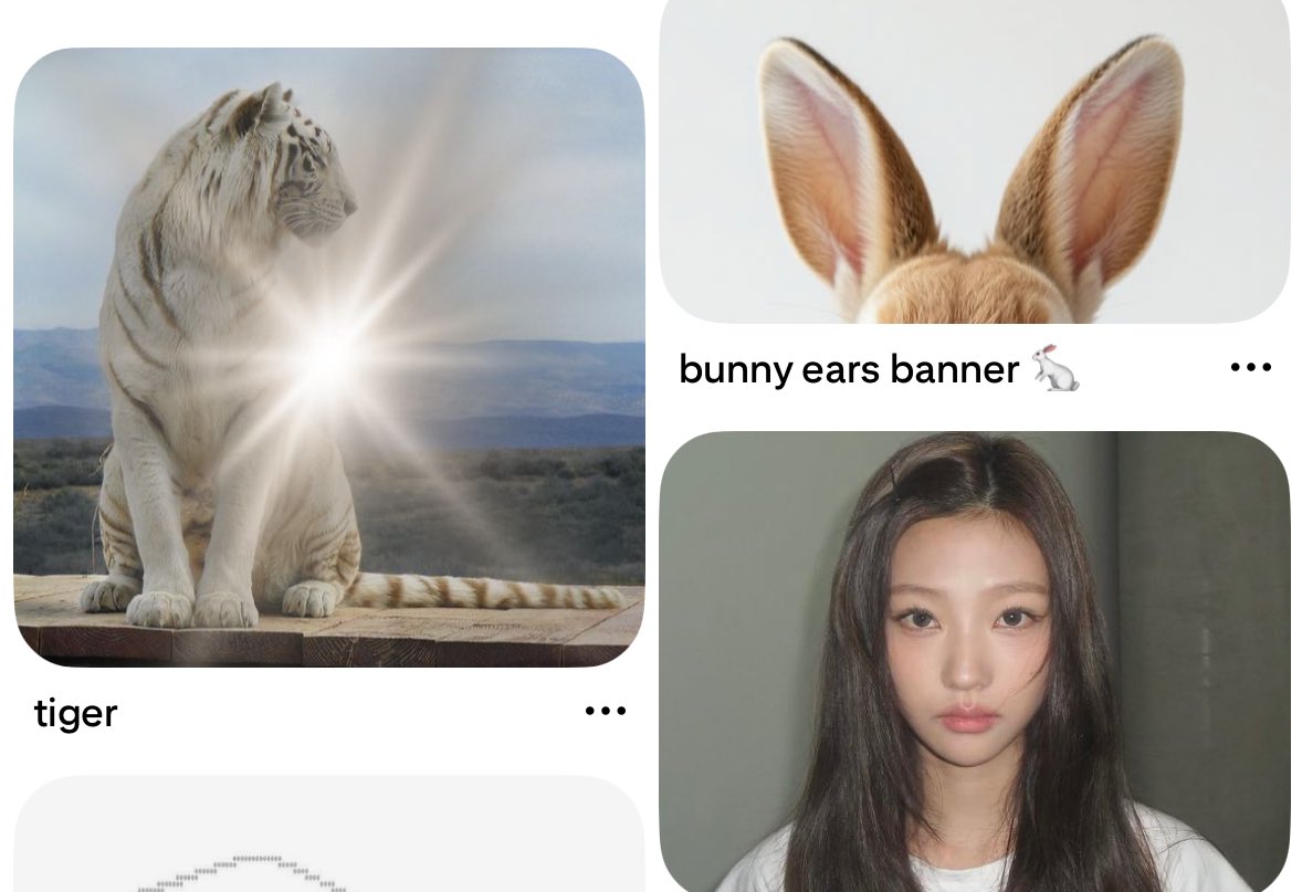 ❦꫶ུ⃛ᰭ ♩♬ᵕ˚̩̩ tweet media