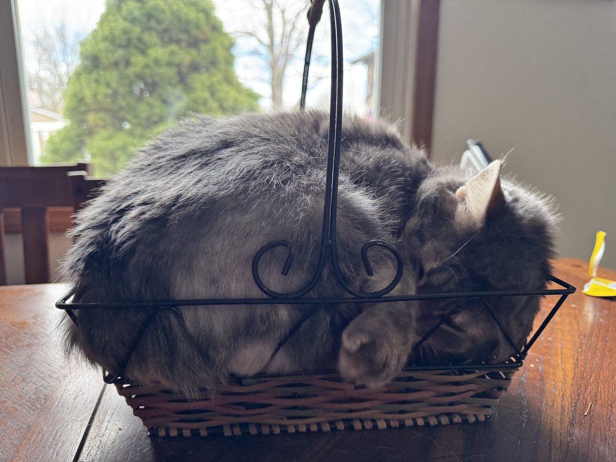 Just Jen ℞ 🫡🇺🇸 tweet media