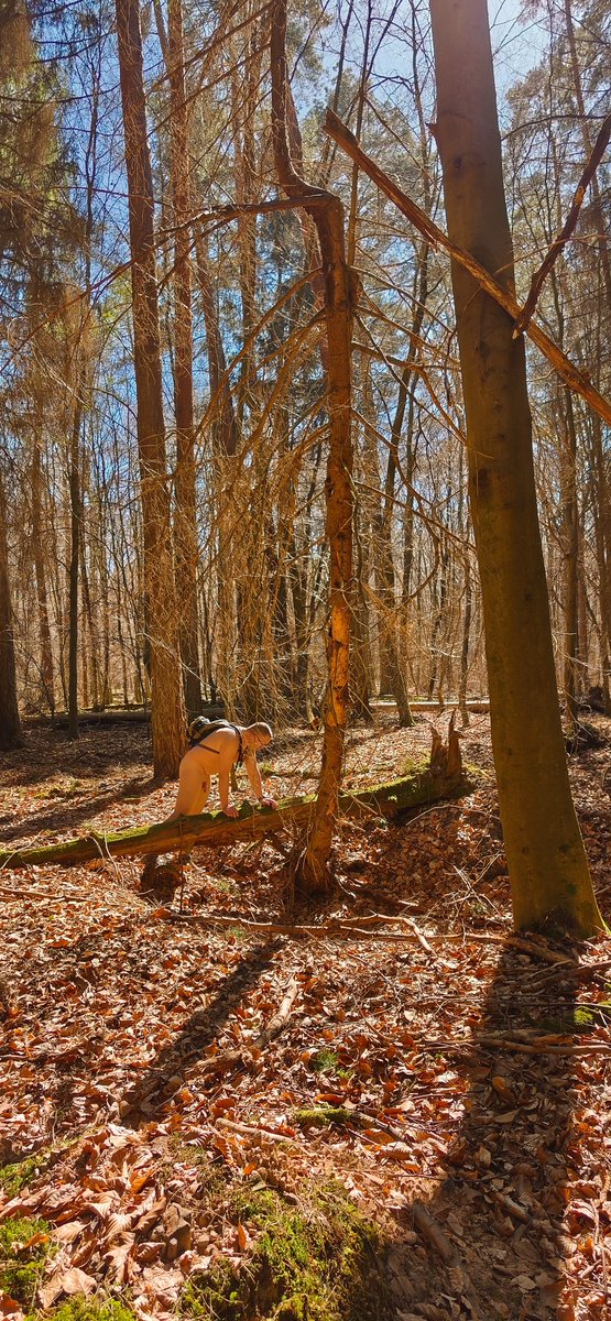 NatureWalk57's tweet photo. #exposed #nude #naked #forest #cockring #OutdoorNudist #nakedwandering https://t.co/CUFLPy4udw