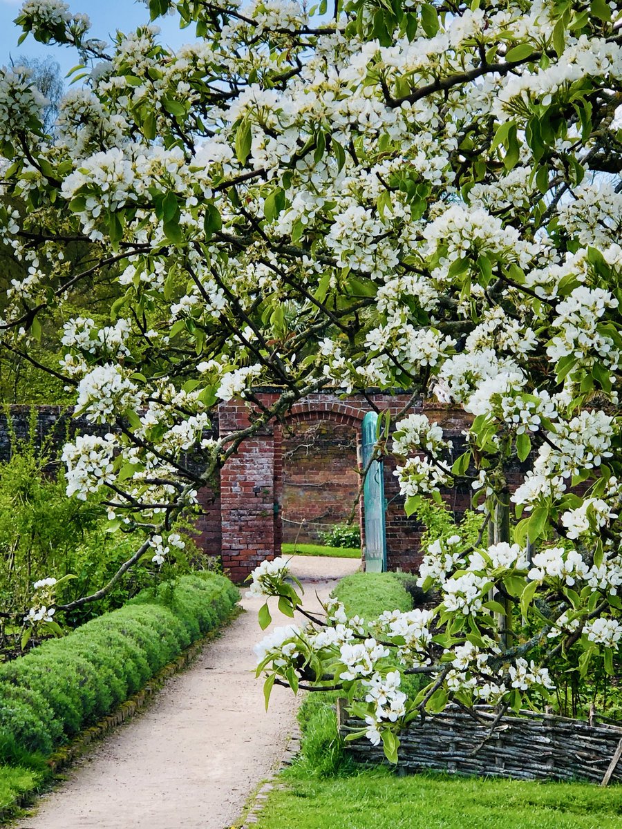 Awliscombe Antiques (@jan_erussell) / Posts / X